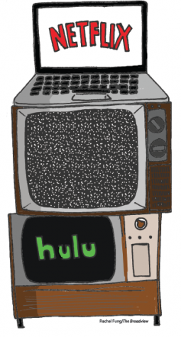 Video streaming becomes the norm