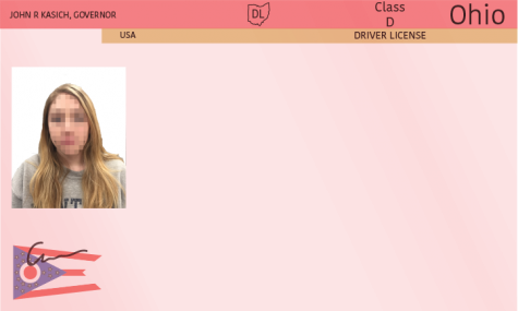 False identification not worth the cost