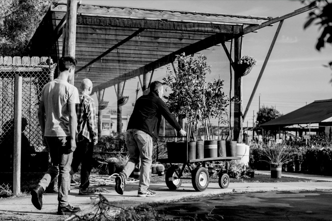 SHHS senior follows Latin teacher Scott Roos, founder of Farming New Orleans, after buying fruit trees to plant on a newly-acquired piece of land.