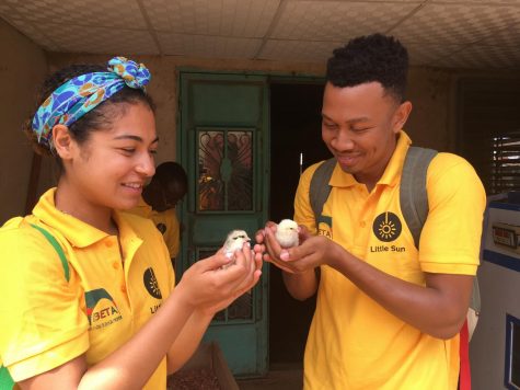 Improving the egg-conomy