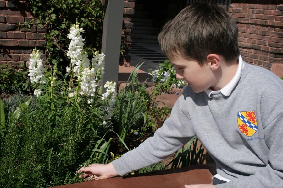 Stuart Hall for Boys garden offers first-hand learning experience