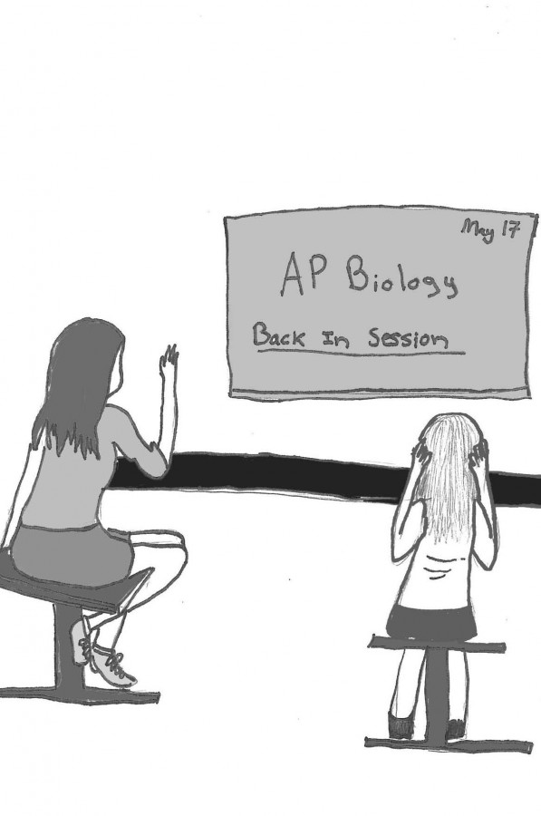 Continuing classes after AP exams adds unnecessary stress to end of year