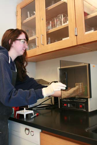 Senior Kristen Gunn-Graffy places a petri dish of ecoli with plasmids of redwood DNA into an incubator. All of the equipment for DNA testing in the Conservation Biology class come from the biotech company Bio-Rad.  