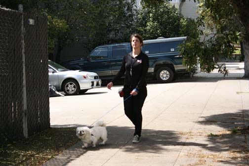 A Pets Unlimited employee walks a dog who is up for adoption. Pets Unlimited also has foster program, allowing volunteers to care for a dog in their homes. 