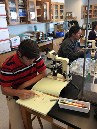 Seniors Sabrina Mendiola and Louis Bulivant observe different types of tissue cells under a microscope to determine their functions. Students draw their own versions of the different types of tissues they see through their microscope. 