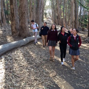 AP Art History students walk along  the Wood Line, a sculpture created by artist Andy Goldsworthy. 