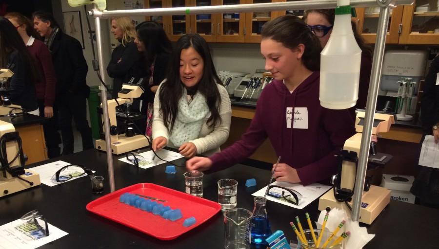 Prospective students pair up to participate in a chemistry experiment. Unlike last year where prospective students watched classes, the potential applicants were placed within the classroom instead.