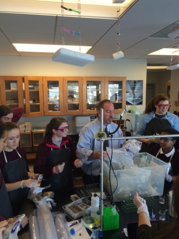 Sheep heart dissection forms window to physiology