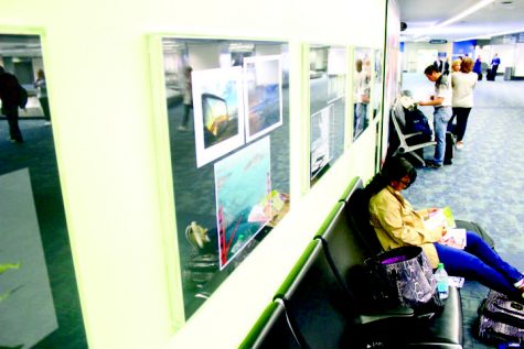 Artwork displays City pride at SFO