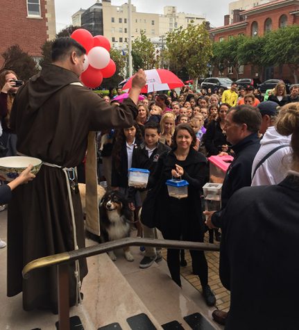 Reverend John De La Riva sprinkles holy water on pets during a slight rain shower. De La Riva called the animals up by their size to bless them.