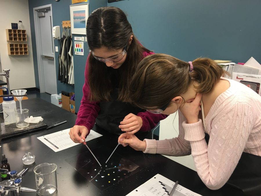 Sophomores Josie Rozzelle and Cassie Eskicioglu combine solutions to identify whether they form soluble or insoluble reactions in the Chem lab. The students learned about different types of reactions in class the day before. 