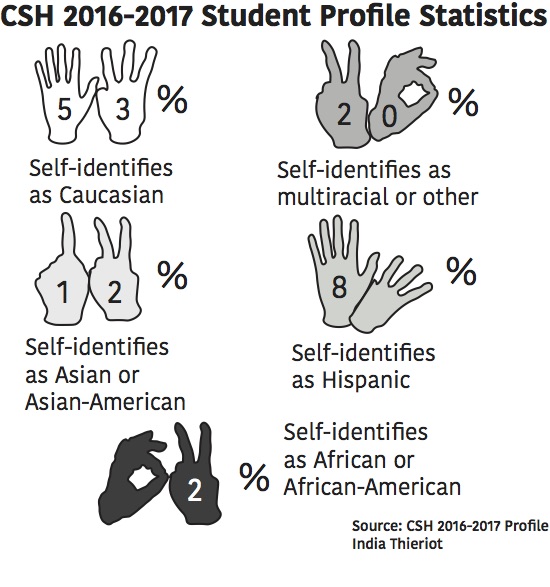 diversity graphic