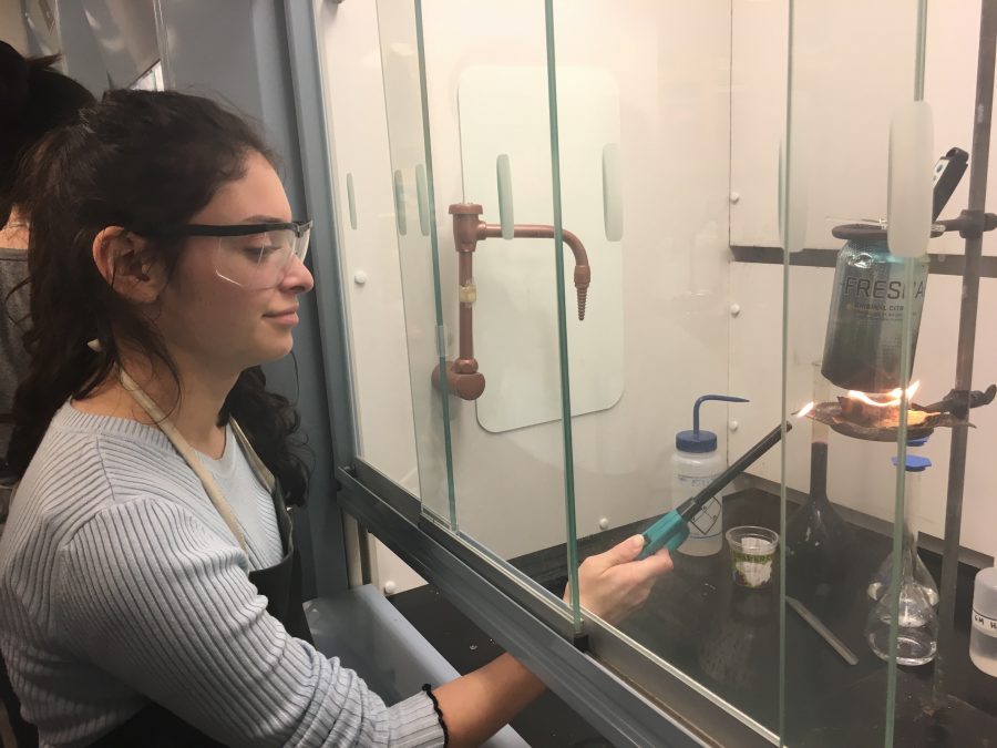 Sophomore Isabella Bermejo ignites a tortilla chip in her Chemistry class. The class performed a lab to determine how many calories are in certain foods.