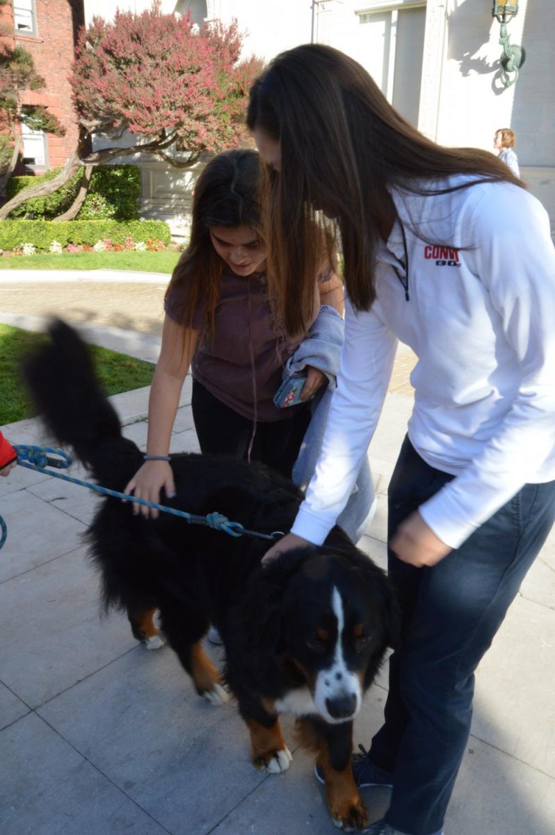 Freshmen Audrey Pinard and Sofia Jorgenson pet a dog at the Blessing of the Animals. The ceremony ended at 9 a.m. and classes resumed normally afterward.