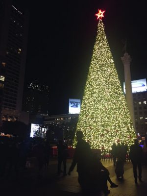 The Union Square Christmas tree, sponsored by Macys, is decorated with over 700 ornaments and 43,000 LED lights. The official tree lighting took place on Nov. 24, and the tree will remain up into the new year.