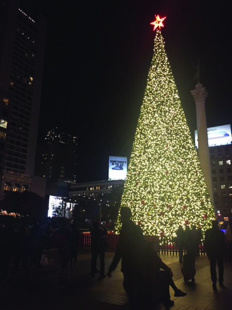 The Union Square Christmas tree, sponsored by Macy's, is decorated with over 700 ornaments and 43,000 LED lights. The official tree lighting took place on Nov. 24, and the tree will remain up into the new year.