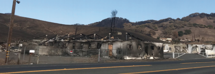 Stornetta Dairy, on the side of Highway 12, burned down during the Sonoma Fires, which destroyed an estimated 8,400 structures. the Diary produced milk for the Clover Sonoma dairy company for 100 years.