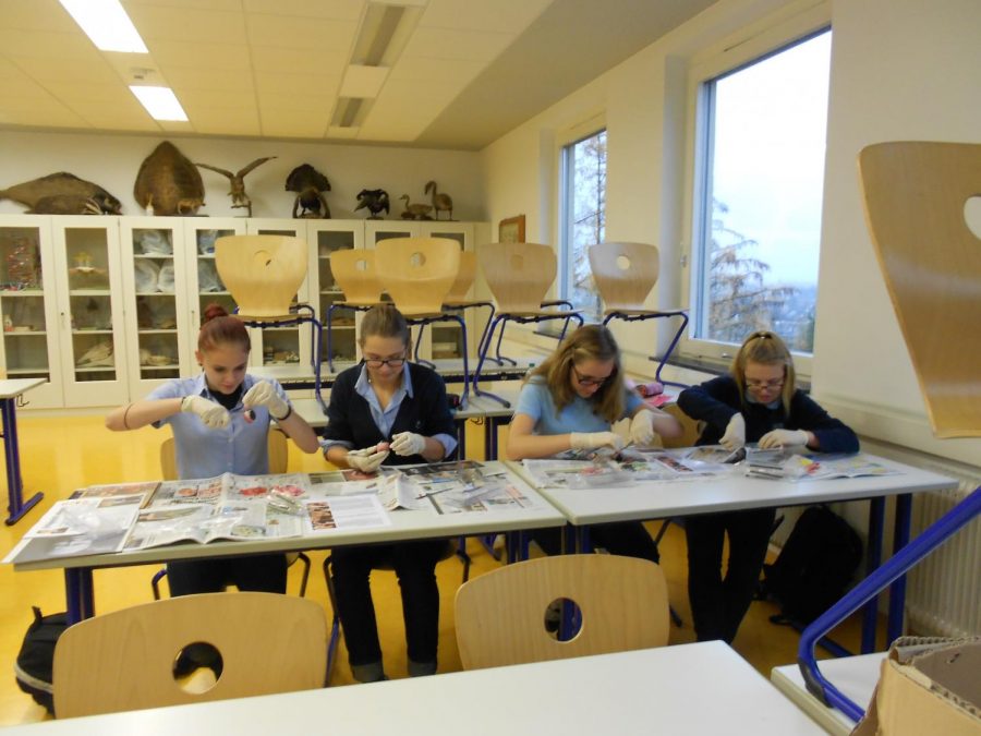 Sacré Coeur Reidenburg students dissect pig eyeballs in the Biology classroom. The school offers the College Management and Service Industries program, a vocational program, as well as the standard schooling. 