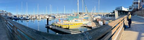 Private boats flood the Marina at Pier 39. The West Yacht Harbor underwent renovations in 2010 and now provides guest docking.