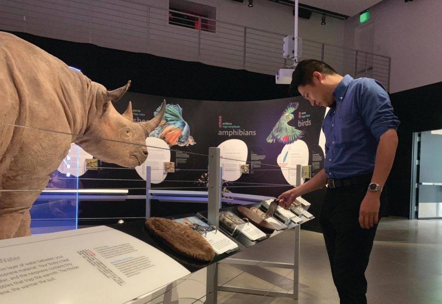 A visitor goes through one of the hands-on activities by feeling real pieces of animal skin. The exhibit provides information on the similarities between animals and their skin specifically the living organisms on the human face. 