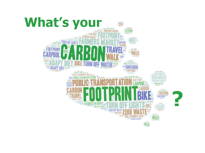 Everyone has a carbon footprint. Calculating your individual carbon footprint allows you to take steps to decrease it.