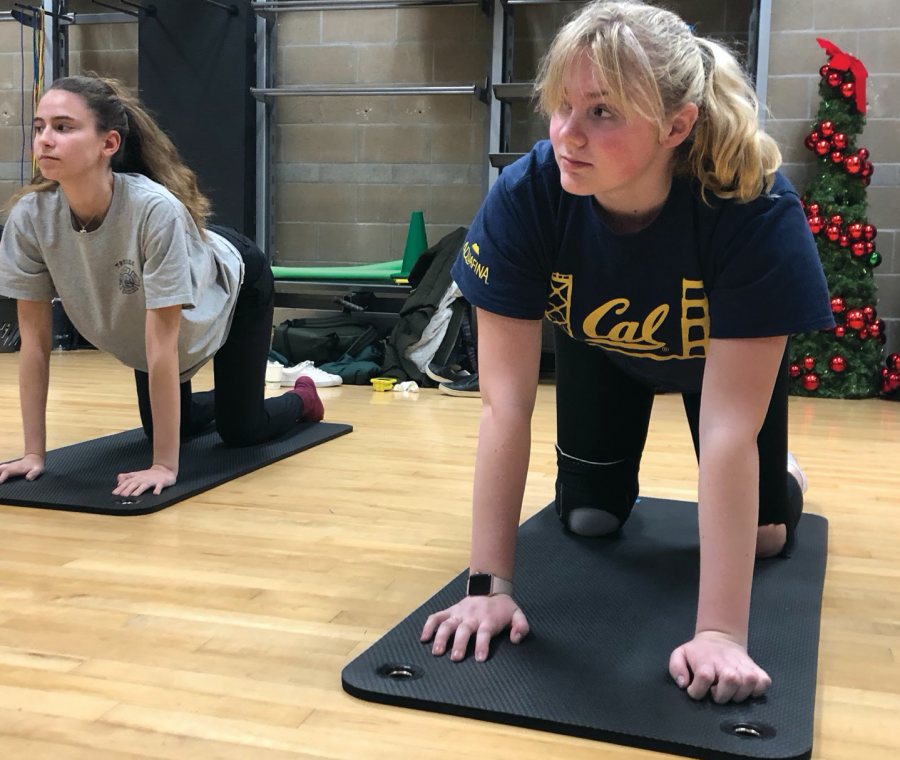 Senior Arlena Jackson and freshman Samantha Calvin move into cow pose in the yoga sequence cat and cow. Preseason swim team yoga sessions took place in the workout room located next to Herbert Center and may be added to drylands practices.  