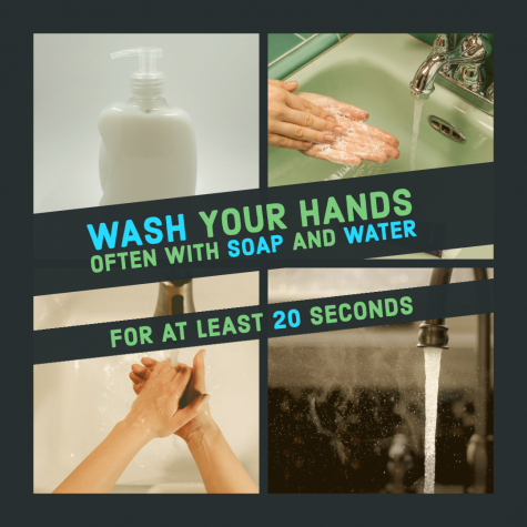 shows elements of handwashing