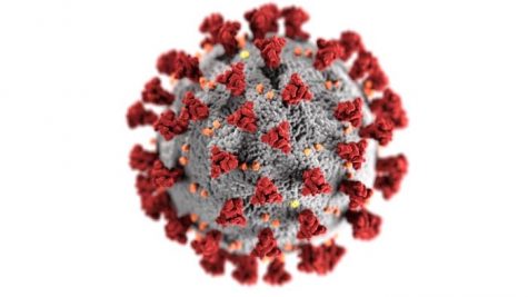 Pictured is an illustration of the coronavirus created by the CDC. The number of the deaths due to coronavirus reached 1 million.