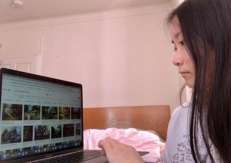 Freshman Anisha Hu searches for cottage backgrounds for one of the online backdrops for the Fall Play. Crew members were partnered with an actor to design their virtual set.
