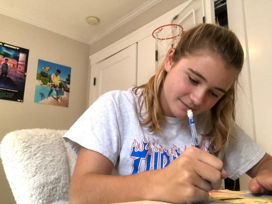 Junior Avery Stout works on homework in her newly redesigned room. Stout has recently painted her walls gray and added posters to her walls to have a change in her environment after spending all day at school in the same room for months.