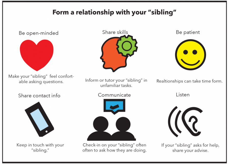 To form a relationship with your sibling, steps like sharing contact information can help you connect. 