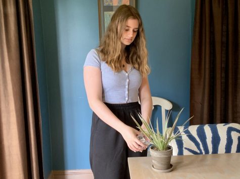 Sophomore Claire Abel waters her plant in her living room. To keep plants alive, water is added to help with photosynthesis and the movement of nutrients in the soil.