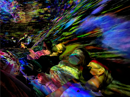 IB Seniors visit Asian Art Museum's teamLab: Continuity exhibition