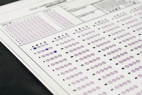 This answer sheet resembles how the PSAT answer sheet page may look. To answer questions, students fill out the multiple choice bubbles in pencil.
