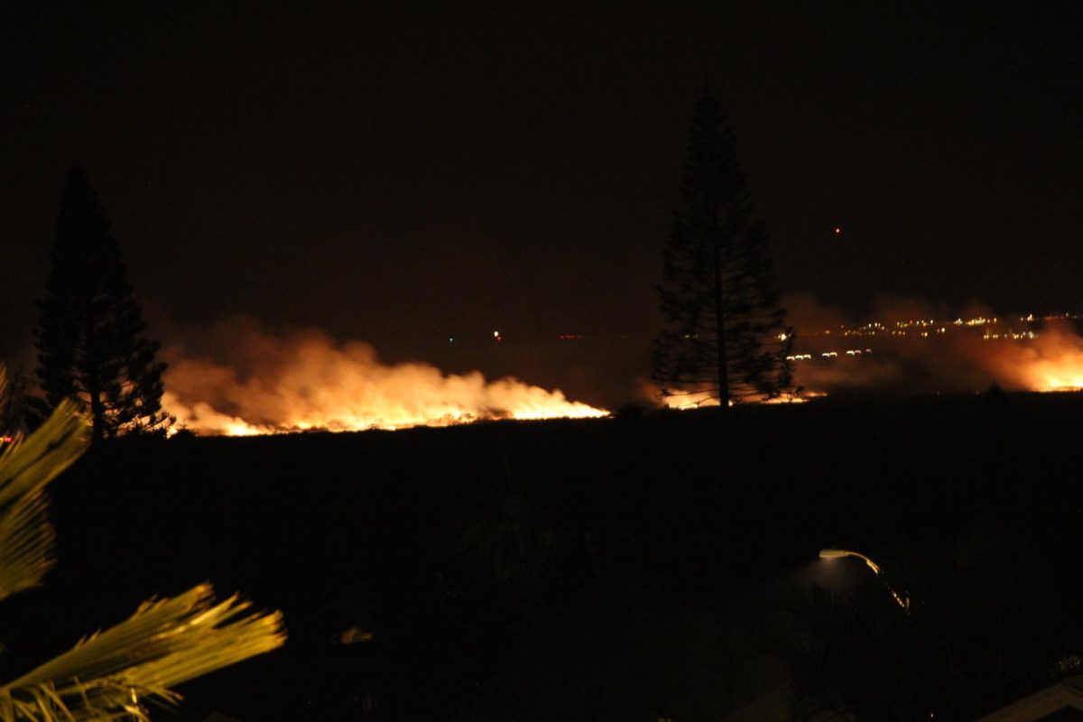 Bush fires in Mauis sugarcane fields in 2017 burned about 30 acres of land. The current Lahaina wildfires have burned over 2,500 acres of Maui land.