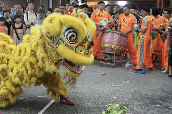 Chinese New Year has many traditions, with a popular one being the lion dance. This year our school is celebrating Chinese New Year for the first time, and we will watch the lion dance and many other performances. 
