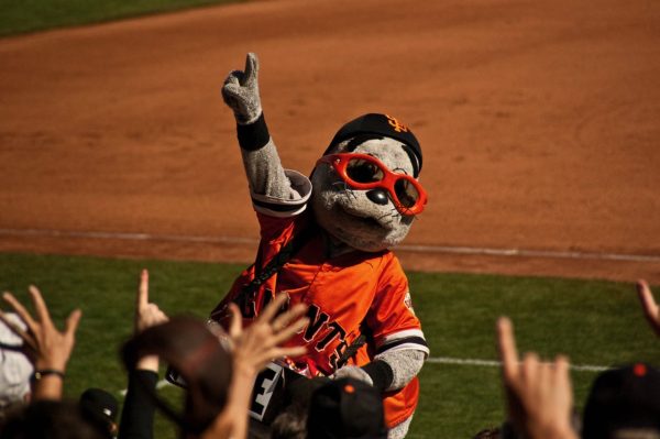 For just under 30 years, Lou has been a face of the SF Giants. The name, Lou Seal, is a play on the name Loucille, which is in reference to the current Triple - A team the San Francisco Seals.
