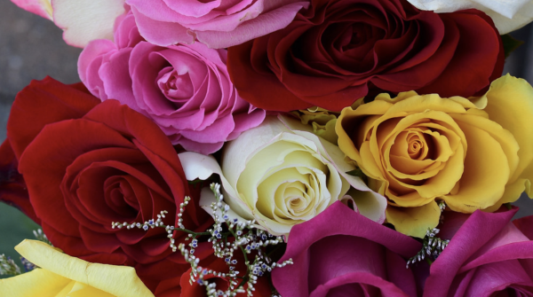 Roses are the most popular flower choice for Mother’s Day. Like many flowers, roses symbolize love and admiration. 
