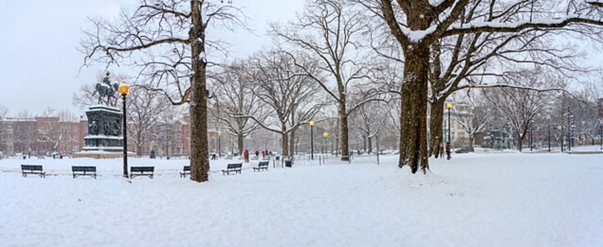 Snow blankets the parks in Washington D.C. This photo was taken quite recently and the temperatures have dropped so low that many will find it hard to get around.