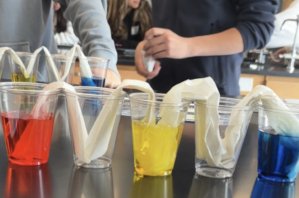 Biology teacher Allison Lovejoy had her students conduct many experiments during the school’s summer biology course. These lab experiments prepared them for future reports they must turn in during the school year. 