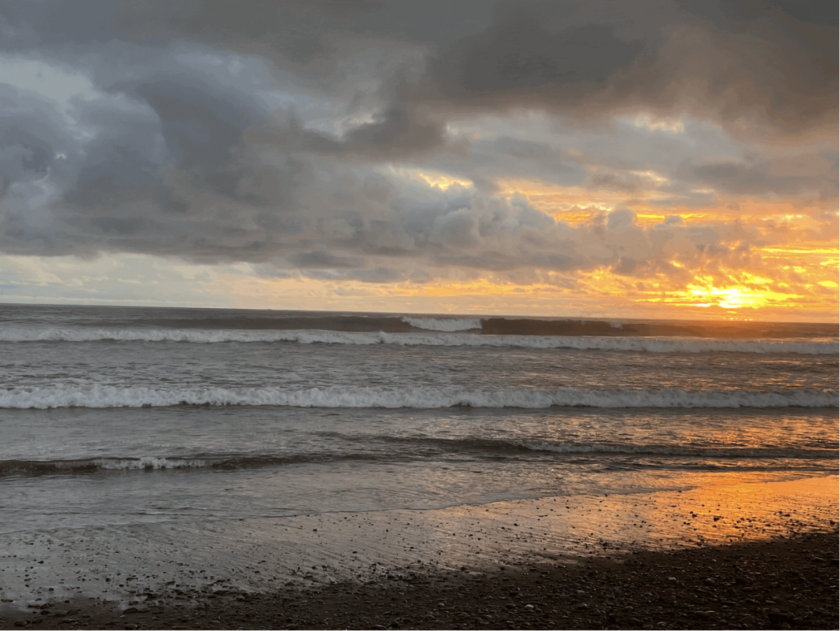 The sophomores travel to the beautiful Latin American country, Costa Rica. The country is covered in beautiful tropical forests, mountains, beaches, and cities.