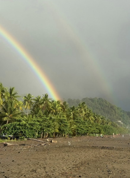 Costa Rica Reflection: Seneca